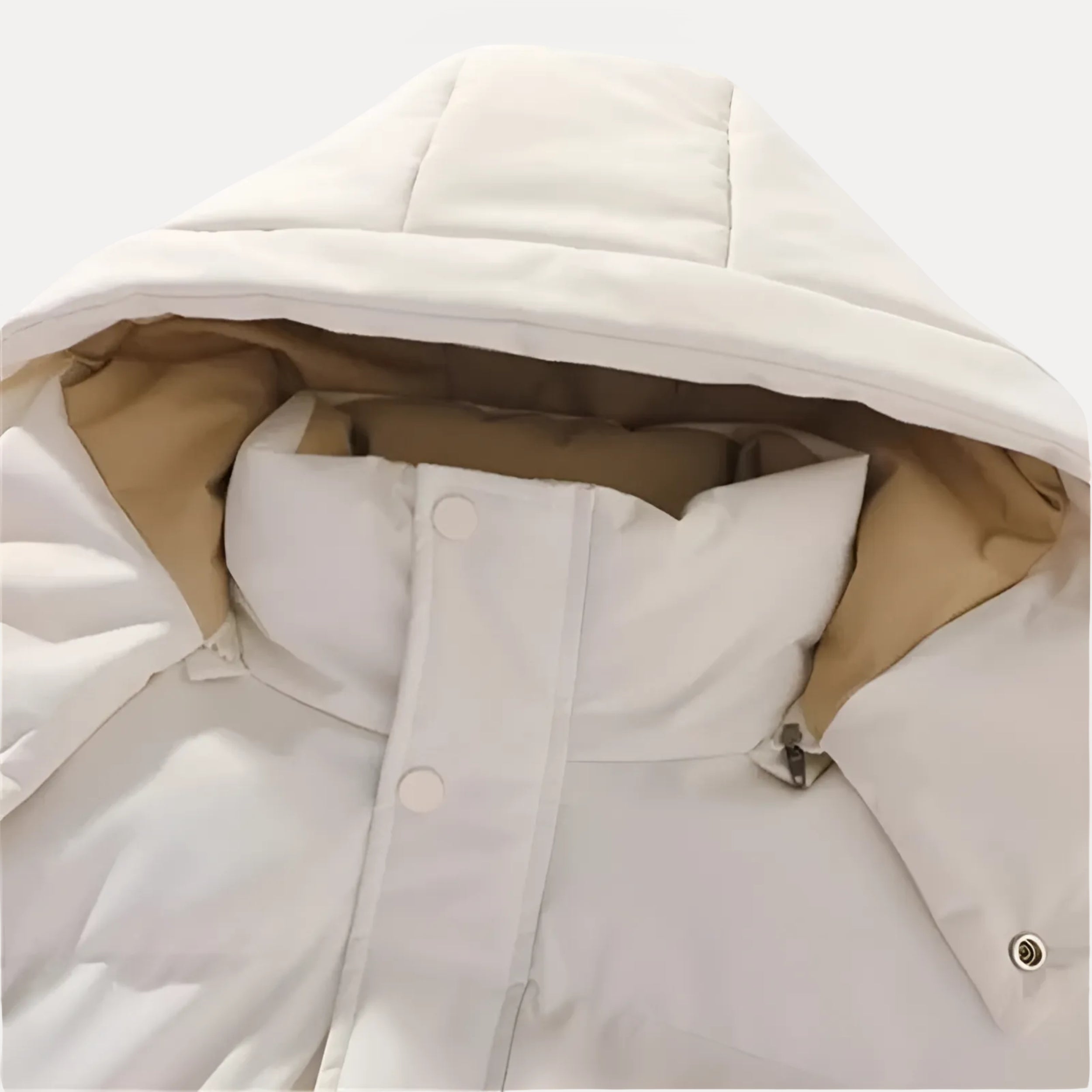 Elegant Hooded Jacket
